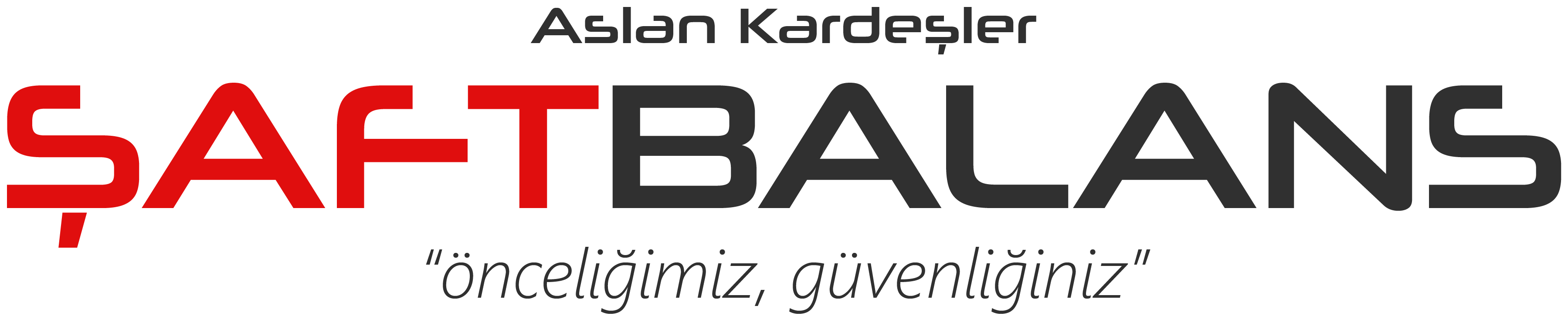 ASLAN KARDEŞLER ŞAFT BALANS